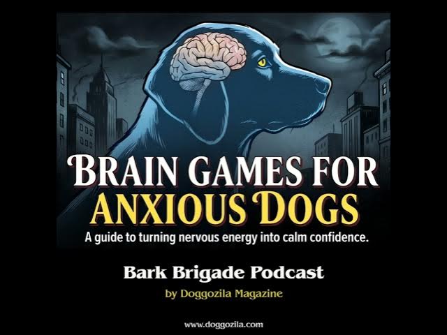 Video thumbnail for How Brain Games Calms Anxious Dogs