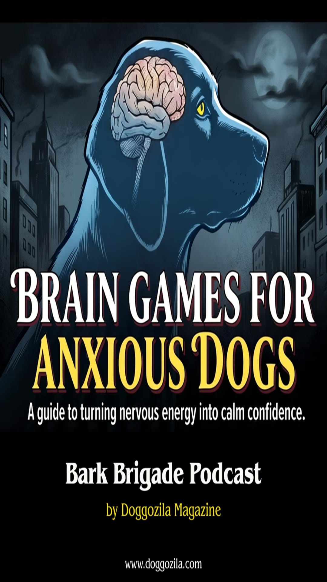 Video thumbnail for How Brain Games Calms Anxious Dogs
