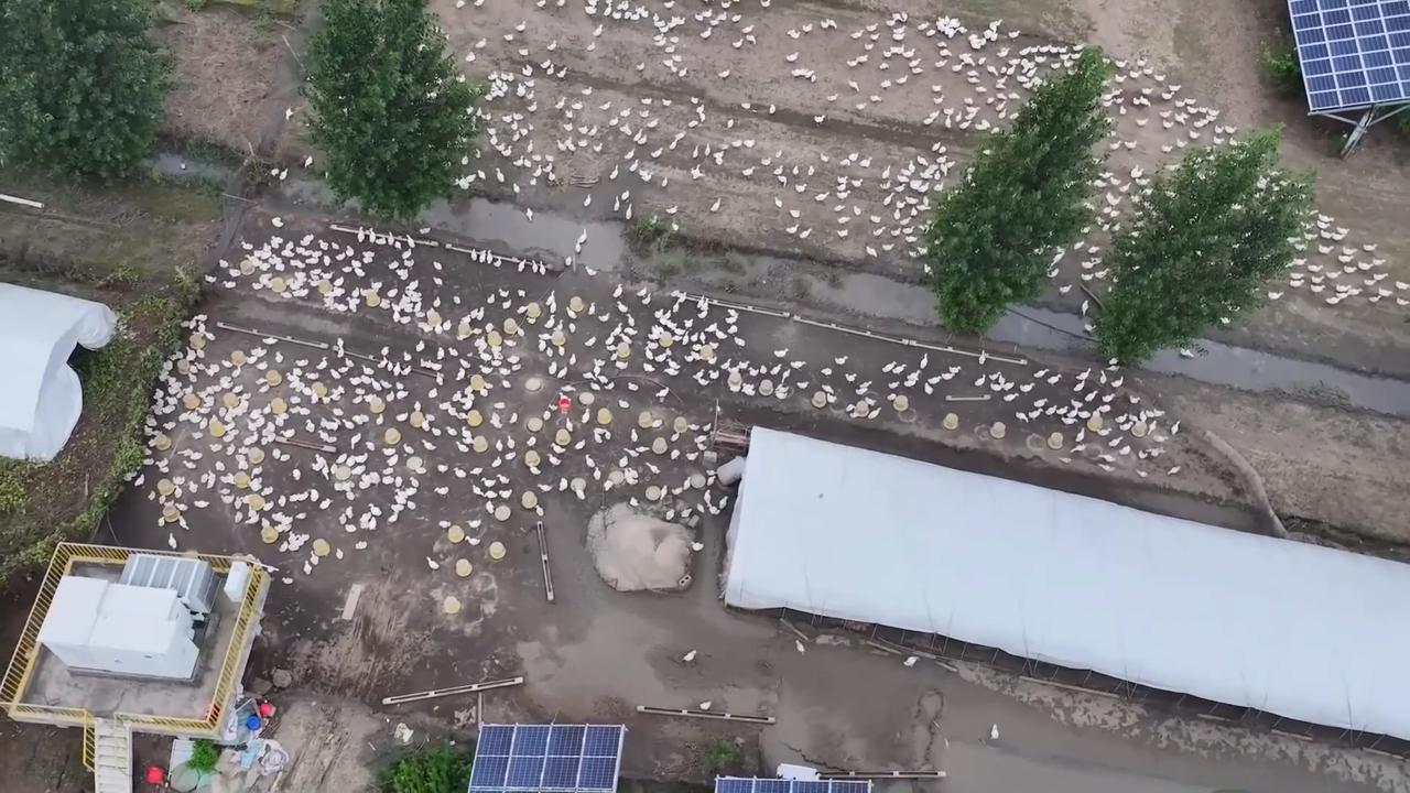 Video thumbnail for China: Photovoltaic Base.