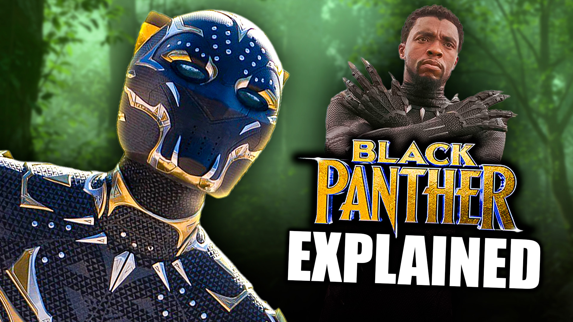 Video thumbnail for The Only Black Panther Recap You Need Before Avengers: Doomsday