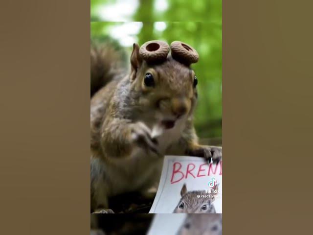 Video thumbnail for June 17, 2025