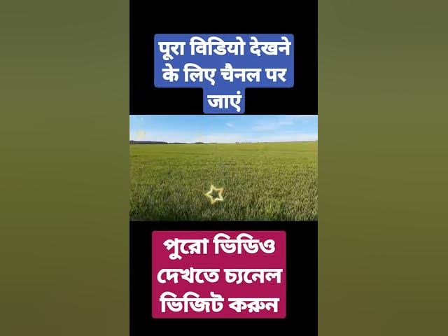 'Video thumbnail for Pani ke bare me Allah ka Farman kya hai? by Mufti Muhammad Najmul Haque, #short'