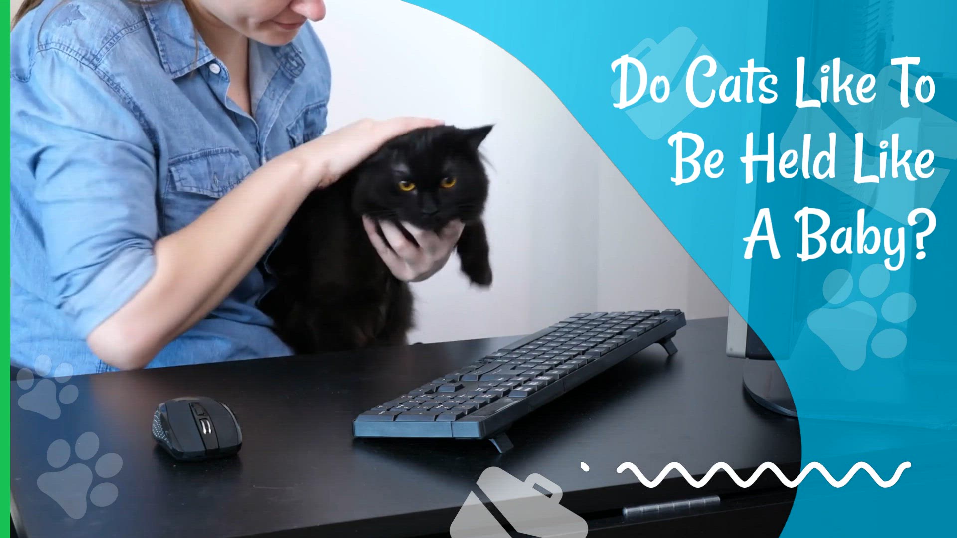 Video thumbnail for Do Cats Like To Be Held Like A Baby..