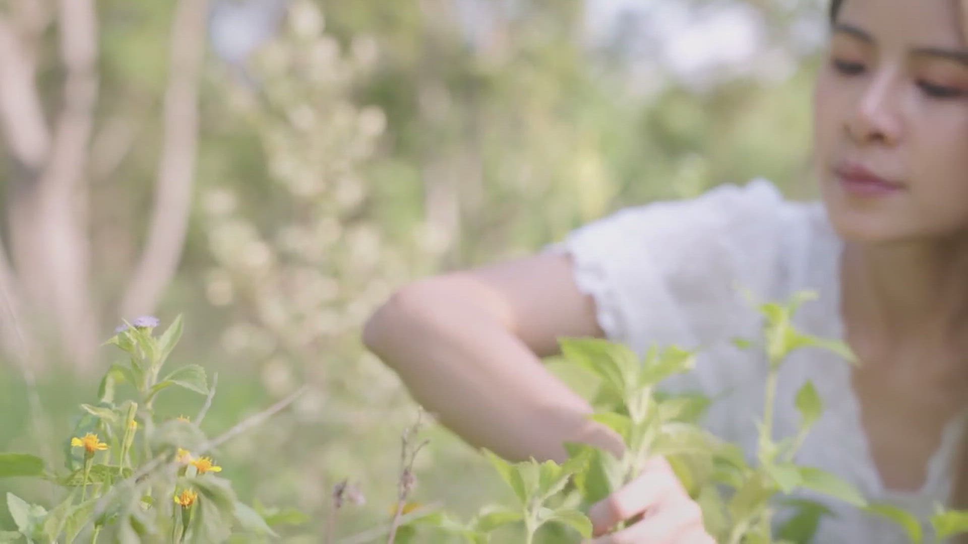 'Video thumbnail for How to Grow Herbs in Hot Summer Climates'