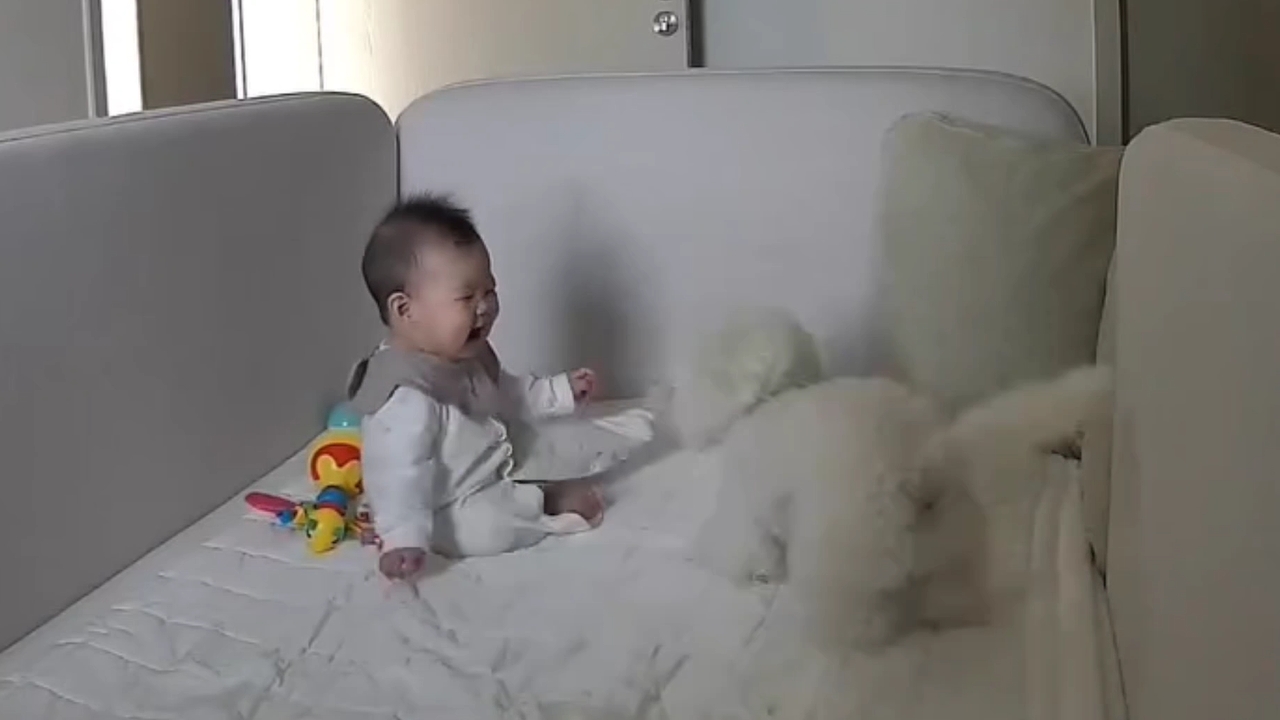 Video thumbnail for Toddler and Dog Share a Sweet Moment in Seoul