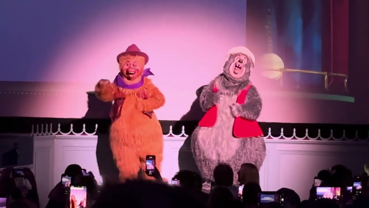 Video thumbnail for Country Bears Version of “Try Everything” from "Zootopia" Sung Live by Emily Ann Roberts