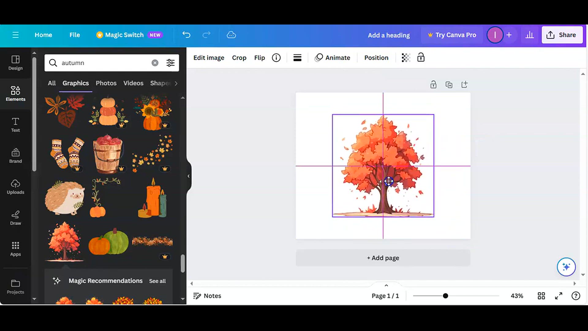 'Video thumbnail for Creative T-Shirt Design Tutorial with Canva (3)'