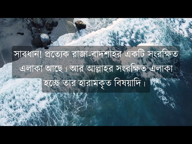Video thumbnail for (হাদীস - ৬)সাবধান! প্রত্যেক রাজা-বাদশাহর একটি সংরক্ষিত এলাকা আছে। আর আল্লাহর সংরক্ষিত এলাকা হচ্ছে...