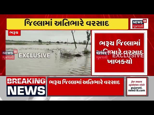 Video thumbnail for ભરૂચ જિલ્લામાં અતિભારે વરસાદ ખાબક્યો, સર્વત્ર પાણી જ પાણી!