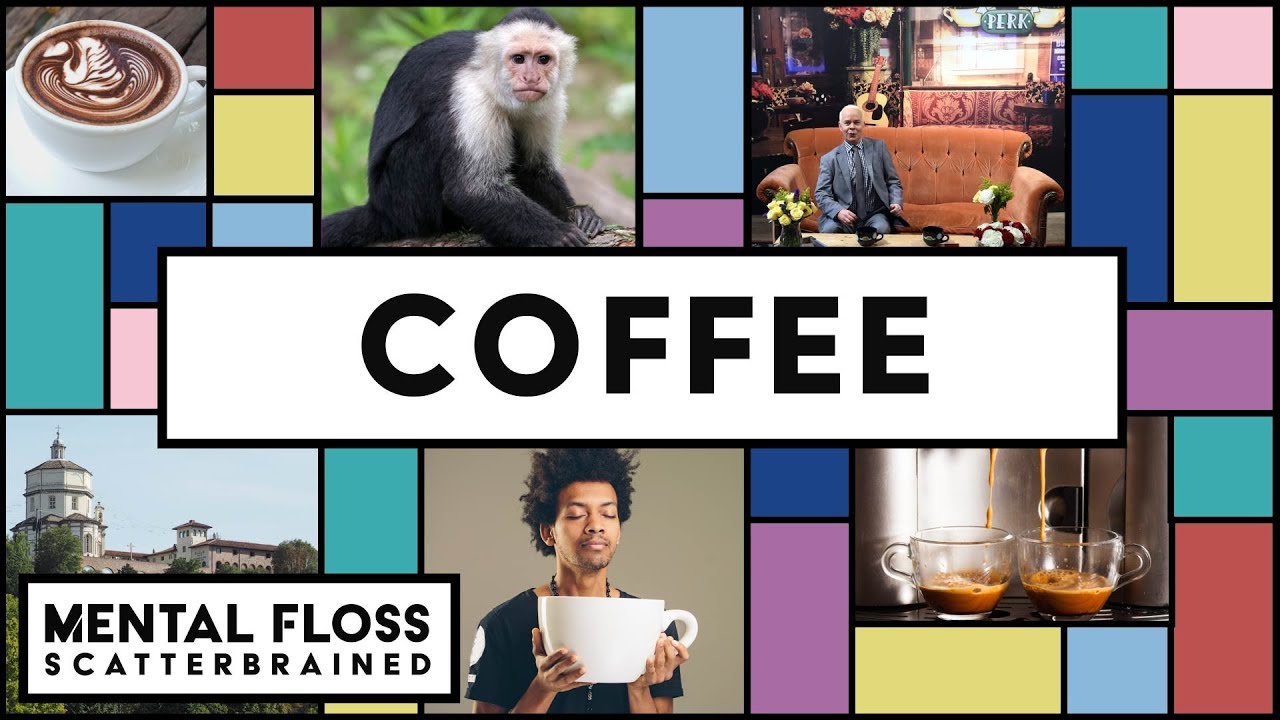 Video thumbnail for Coffee Facts and Life Hacks! - Mental Floss Scatterbrained | Mental Floss