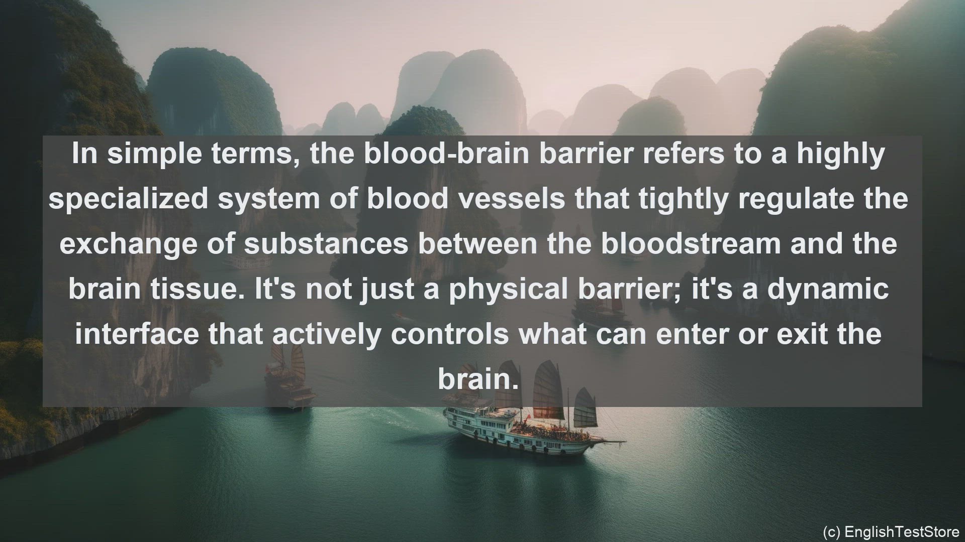'Video thumbnail for Blood brain barrier in science  definition and examples'