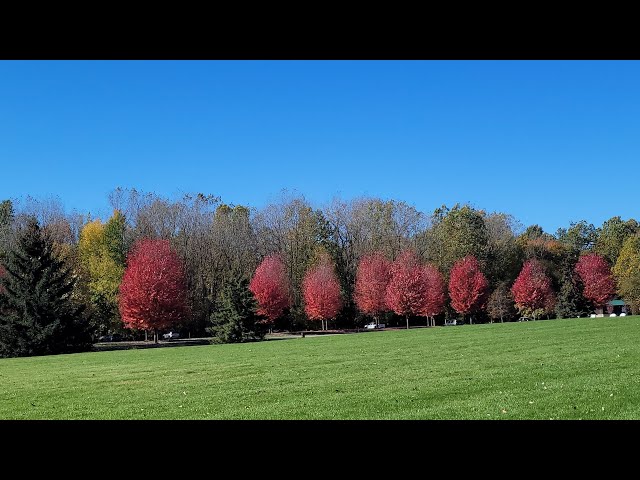 Video thumbnail for You see how cold and bad the winter weather is. I'm walking, but it's very cold here.