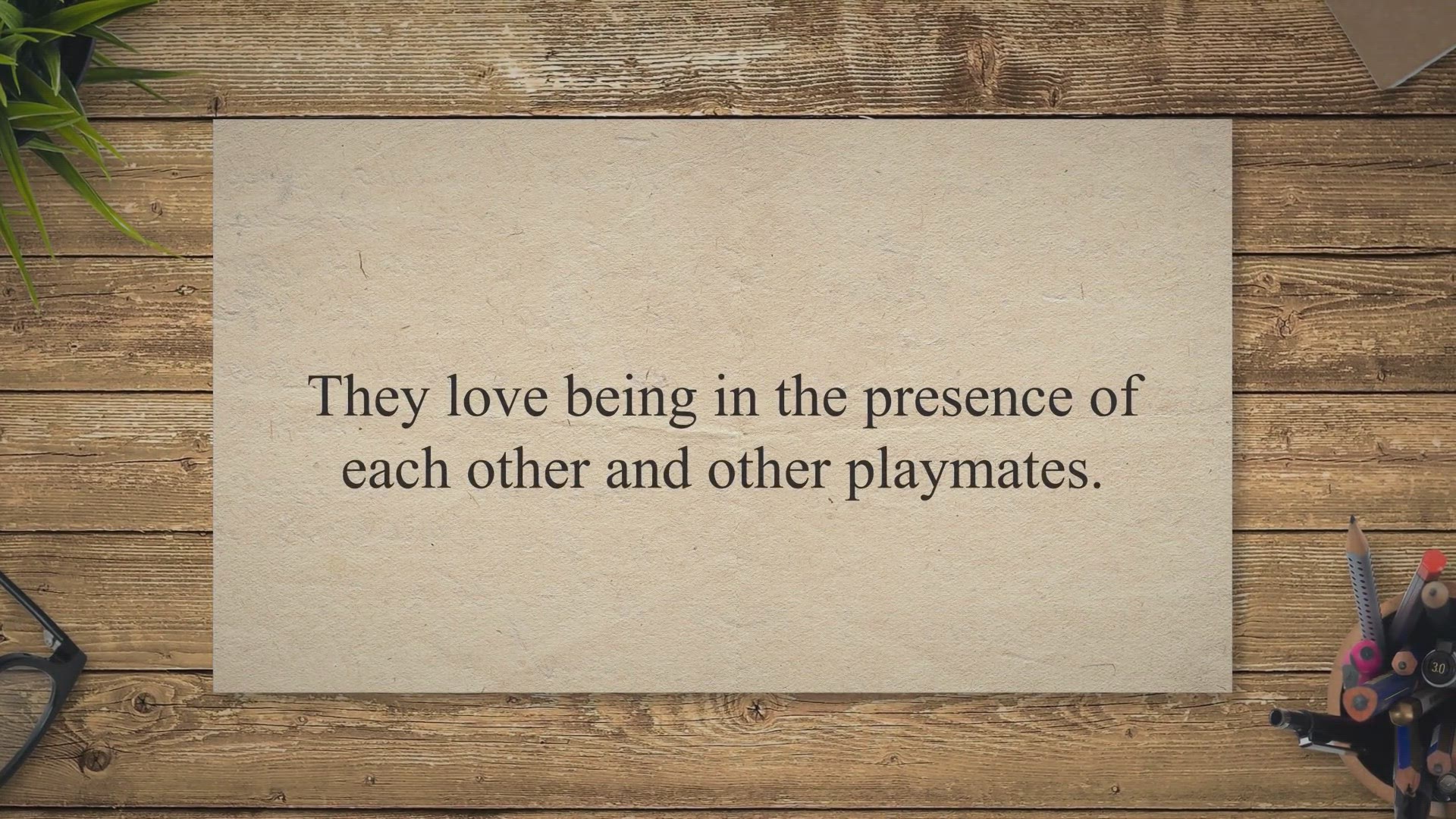 Video thumbnail for 9 Signs: How to tell if your Rabbit Likes You?