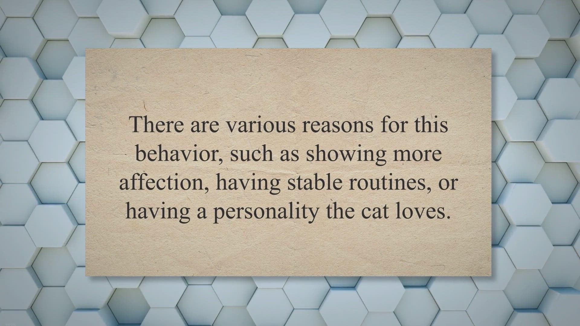 Video thumbnail for My Roommates Cat Is Obsessed With Me - 5 Reasons Why