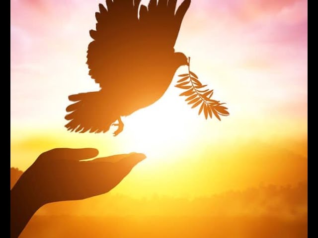 Video thumbnail for Sermon 06 14 20 2nd Sunday after Pentecost