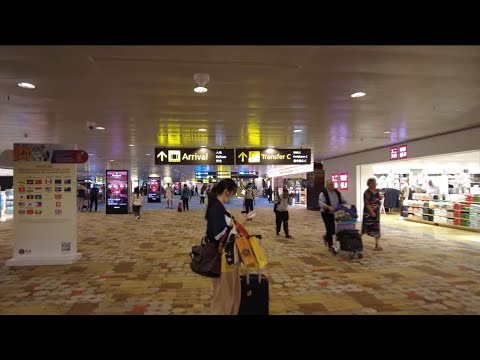 Video thumbnail for Singapore Airport Arrival Terminal 1 SIN