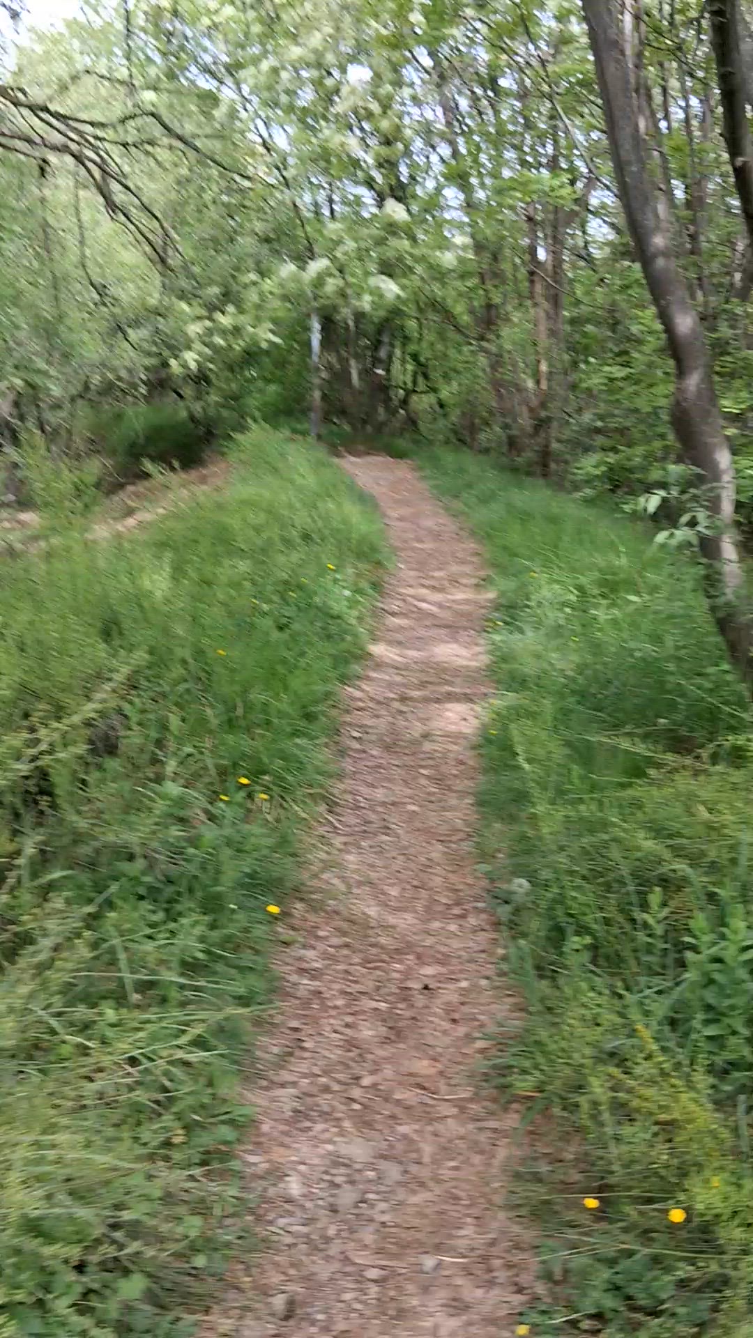 Video thumbnail for 20250421_104829.mp4