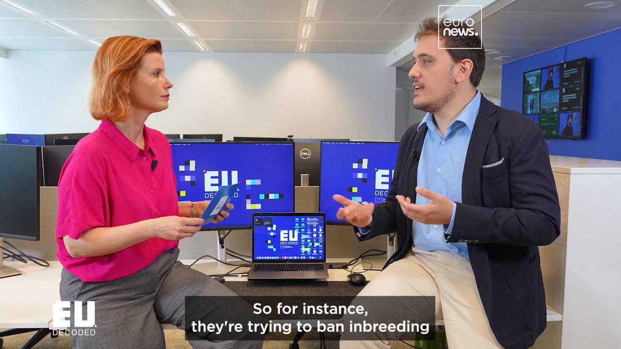 Video thumbnail for Will new animal welfare law curb illegal trade?