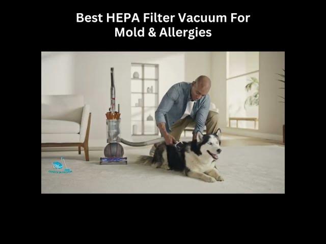 Video thumbnail for Best HEPA Filter Vacuum for Mold & Allergies #Shorts