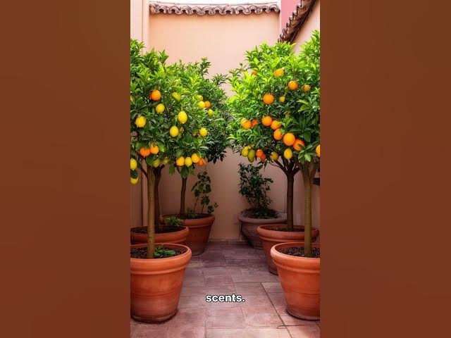 Video thumbnail for Top 10 Spanish Garden Ideas for Small Villas! 🇪🇸🌿  #tinyhome #GardenInspiration #Shorts