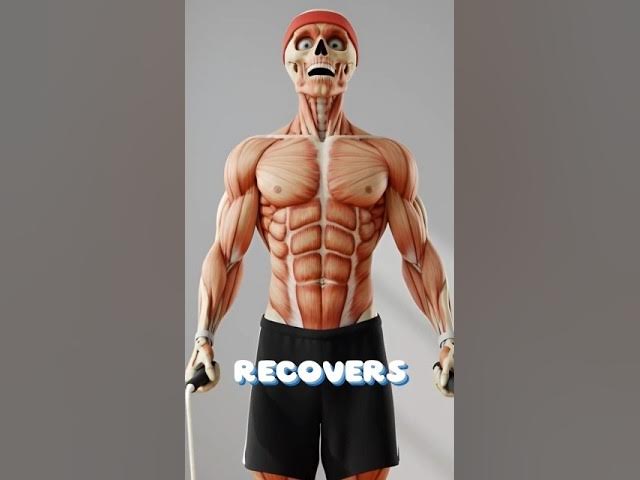 Video thumbnail for What Happens If You Do 1 Minute of Jump Rope Every Day #facts #shorts #animation