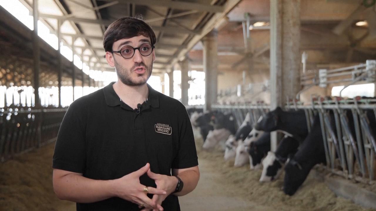 Video thumbnail for Italy: Persistent heatwave squeezes Italy's prized Parmesan sector as production costs soar.