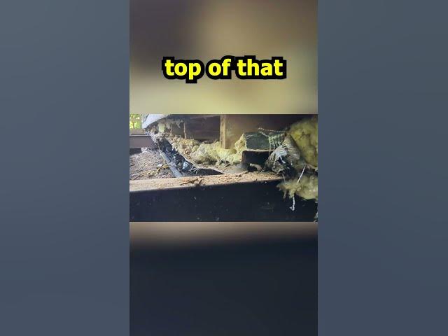 Video thumbnail for Replacing Ridge Beam Part 4 #Shorts