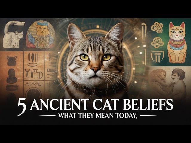 Video thumbnail for 5 Ancient Beliefs About Cats From Around the World