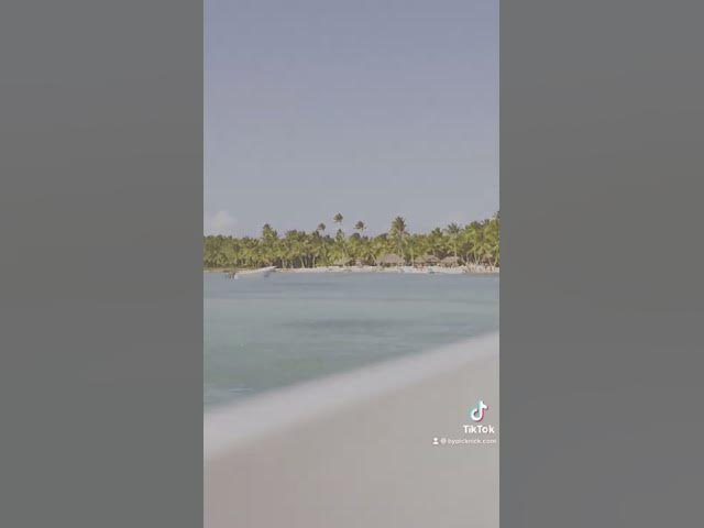 Video thumbnail for Premiere editor 🤣👌🏼 || #filmmakers #adobepremierepro #videoeditor #videoediting