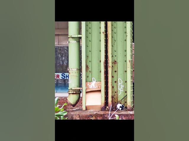 Video thumbnail for photo taken by Sick Cents utv Harlem NYC graffiti