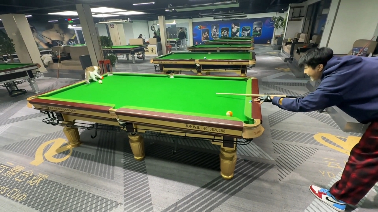 Video thumbnail for Cat Crashes Pool Game in Shanghai!