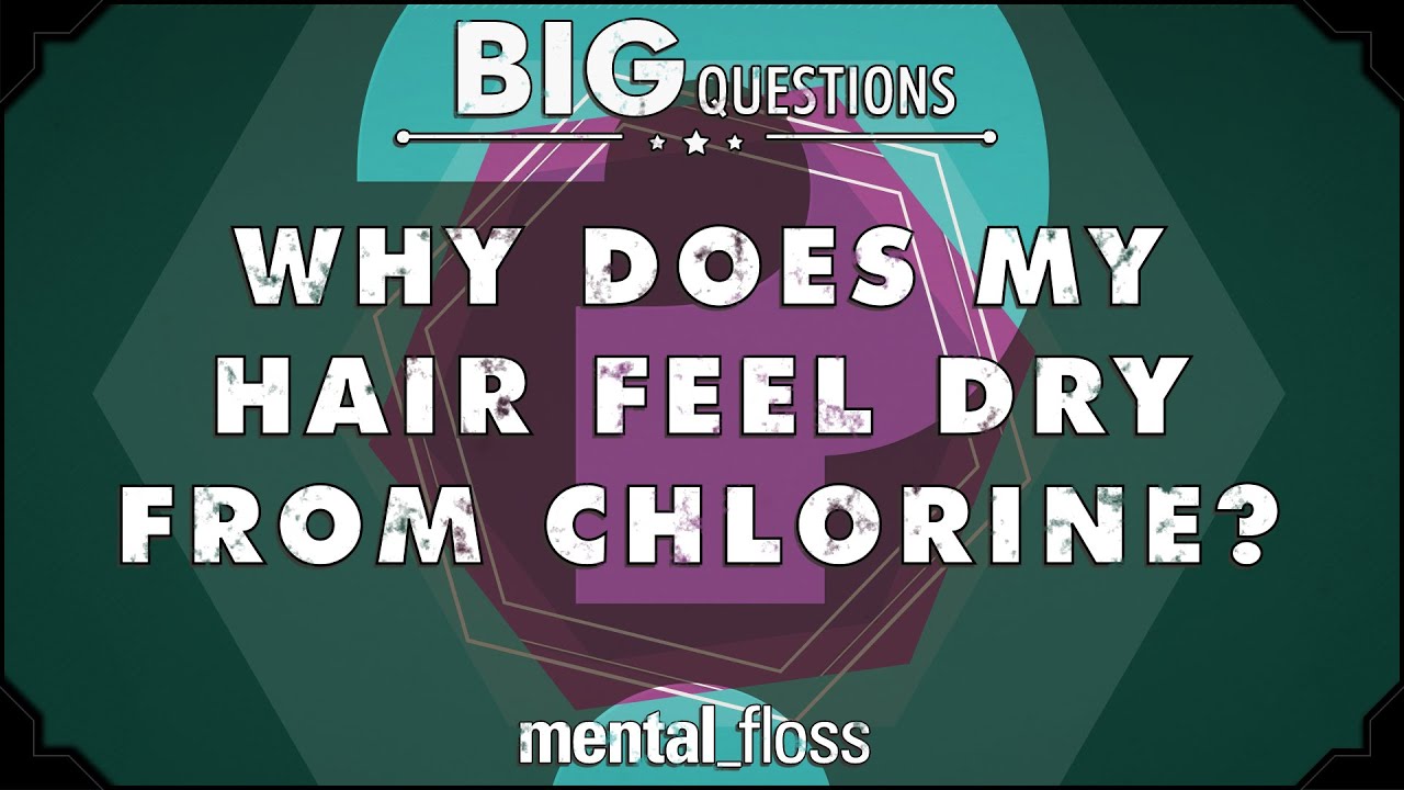 Video thumbnail for Why does my hair feel dry from chlorine? - Big Questions - (Ep. 205) | Mental Floss