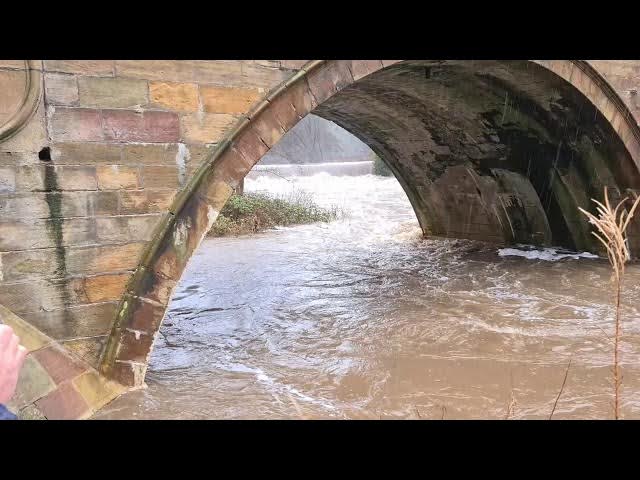 Video thumbnail for deluge