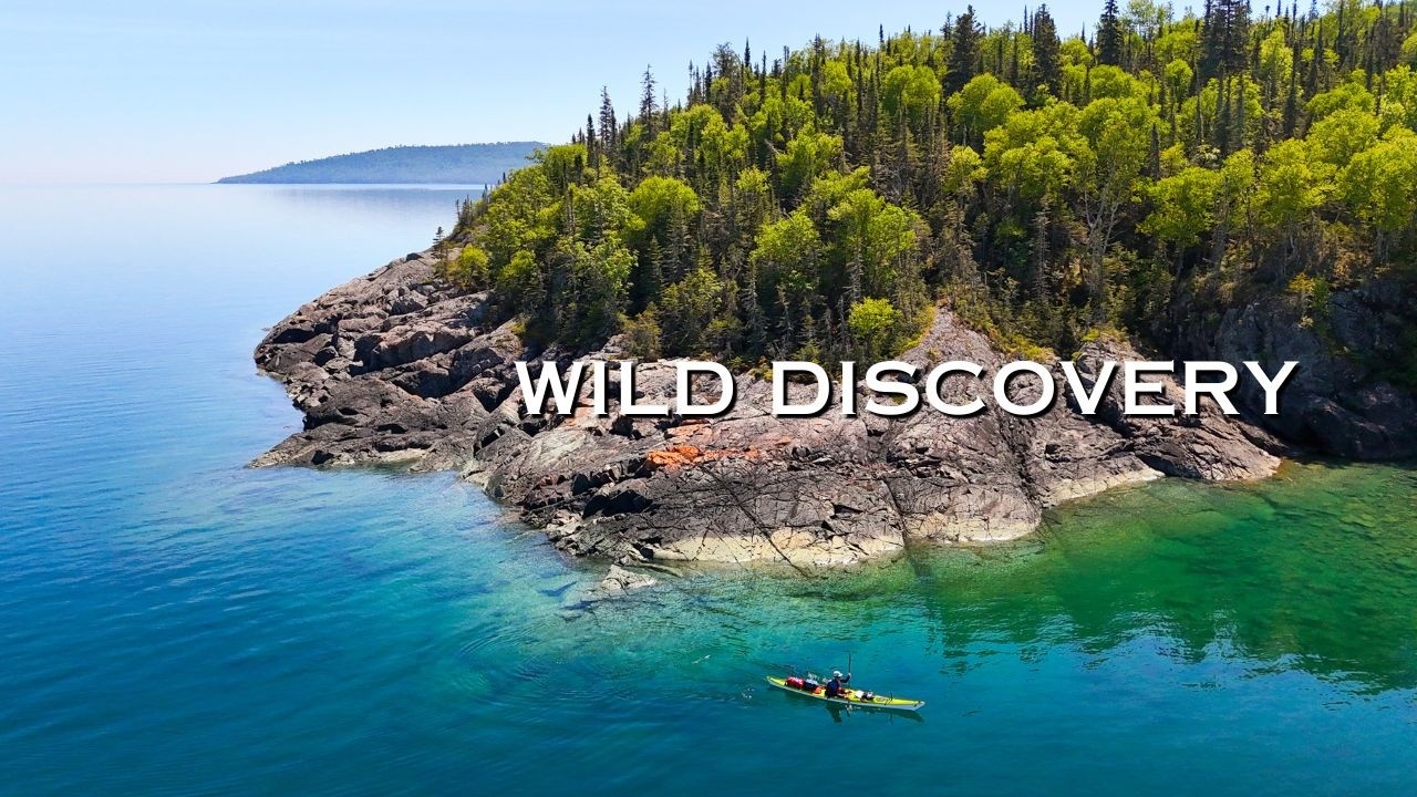 Video thumbnail for This Is Wild Discovery | New Season Premieres Sunday at 5 PM