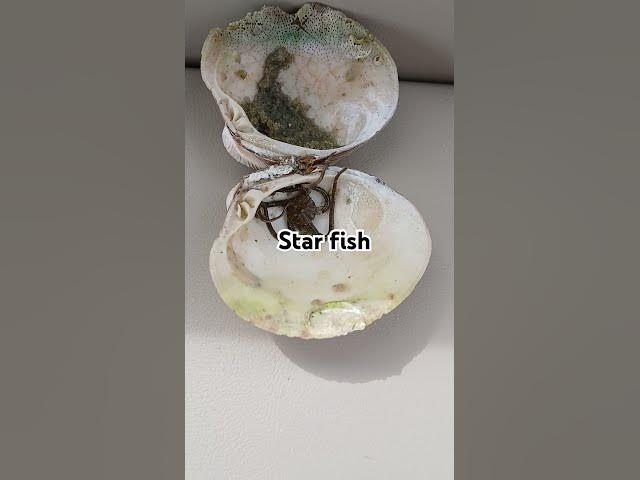 Video thumbnail for March 27, 2025