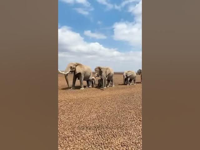 Video thumbnail for 1 April 2021