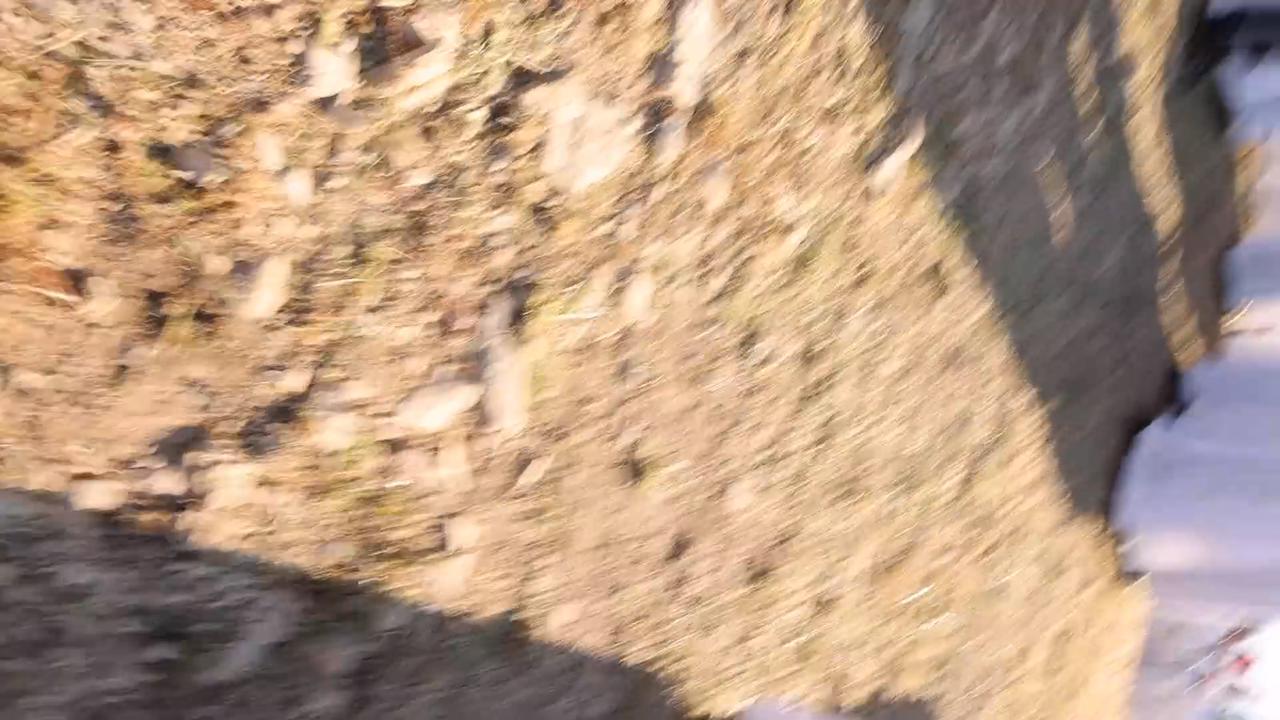 Video thumbnail for Samaritans Mark Passover Gerizim West Bank 7.