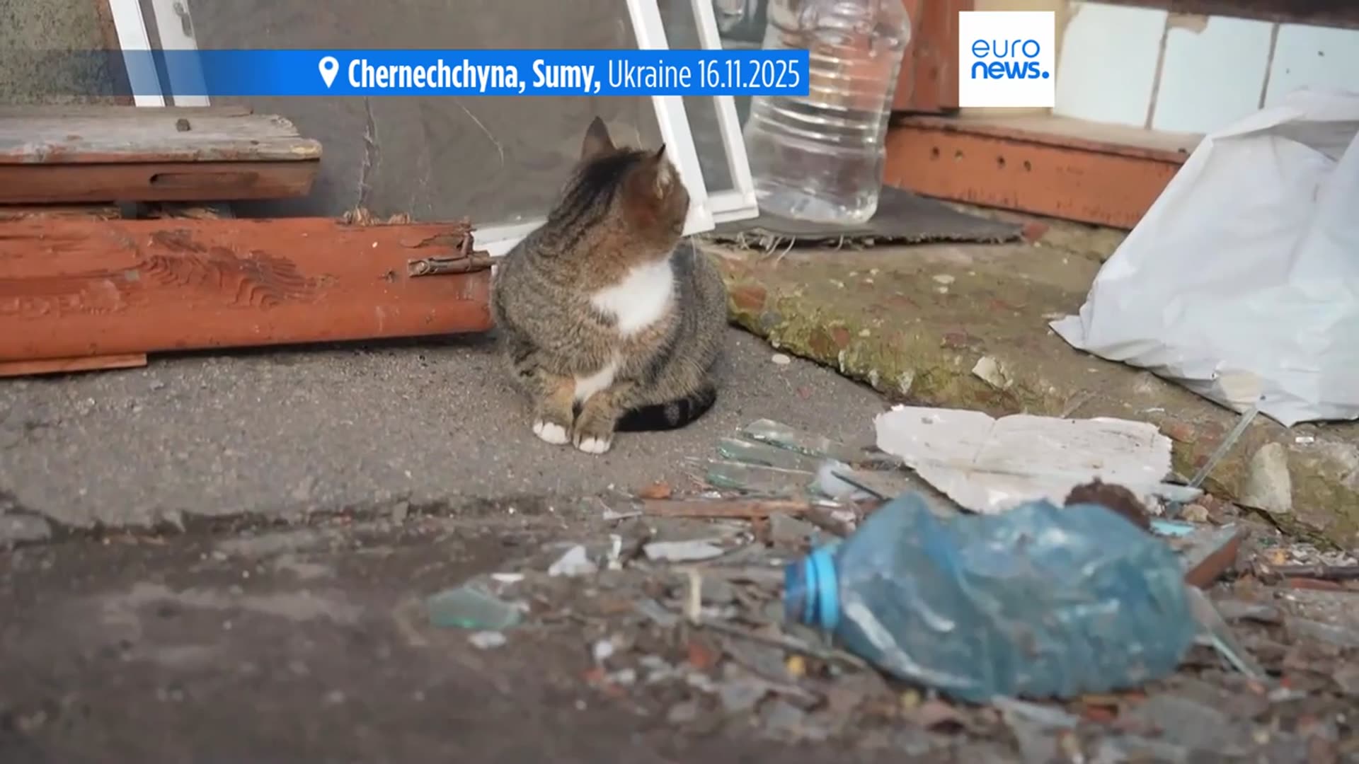 'Video thumbnail for Latest news bulletin | November 16th, 2025 – Evening'