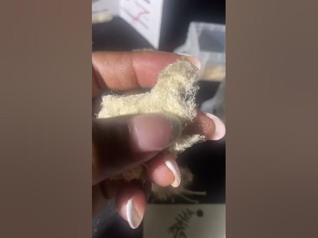 Video thumbnail for Introducing….. HEMP!!!!