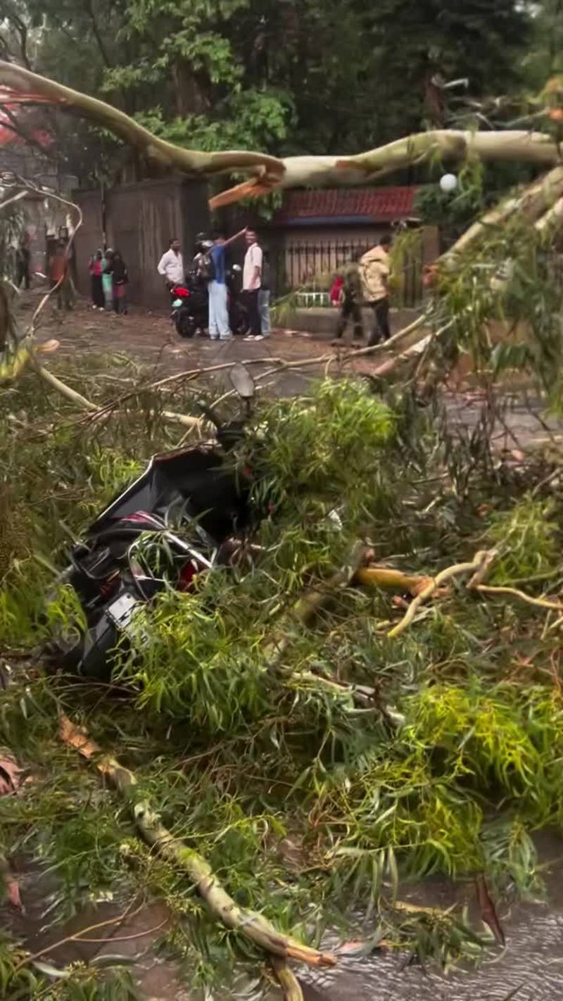 Video thumbnail for Uprooted Tree Crushes Car during Bangalore Rainstorm