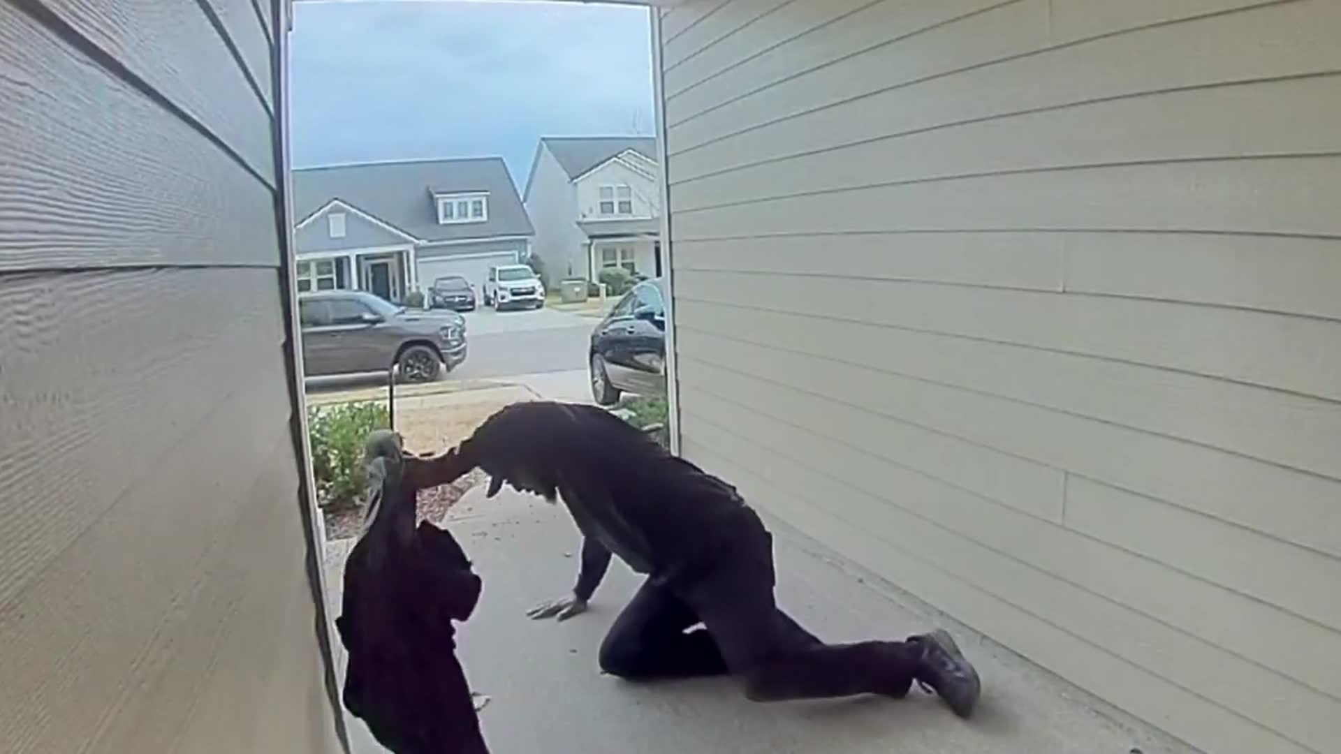Video thumbnail for Man narrowly escapes aggressive bird attack at his Middleburg home