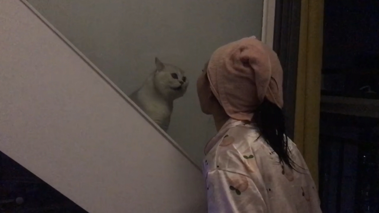 Video thumbnail for Cat and Woman Mimic Each Other on Staircase in Sichuan