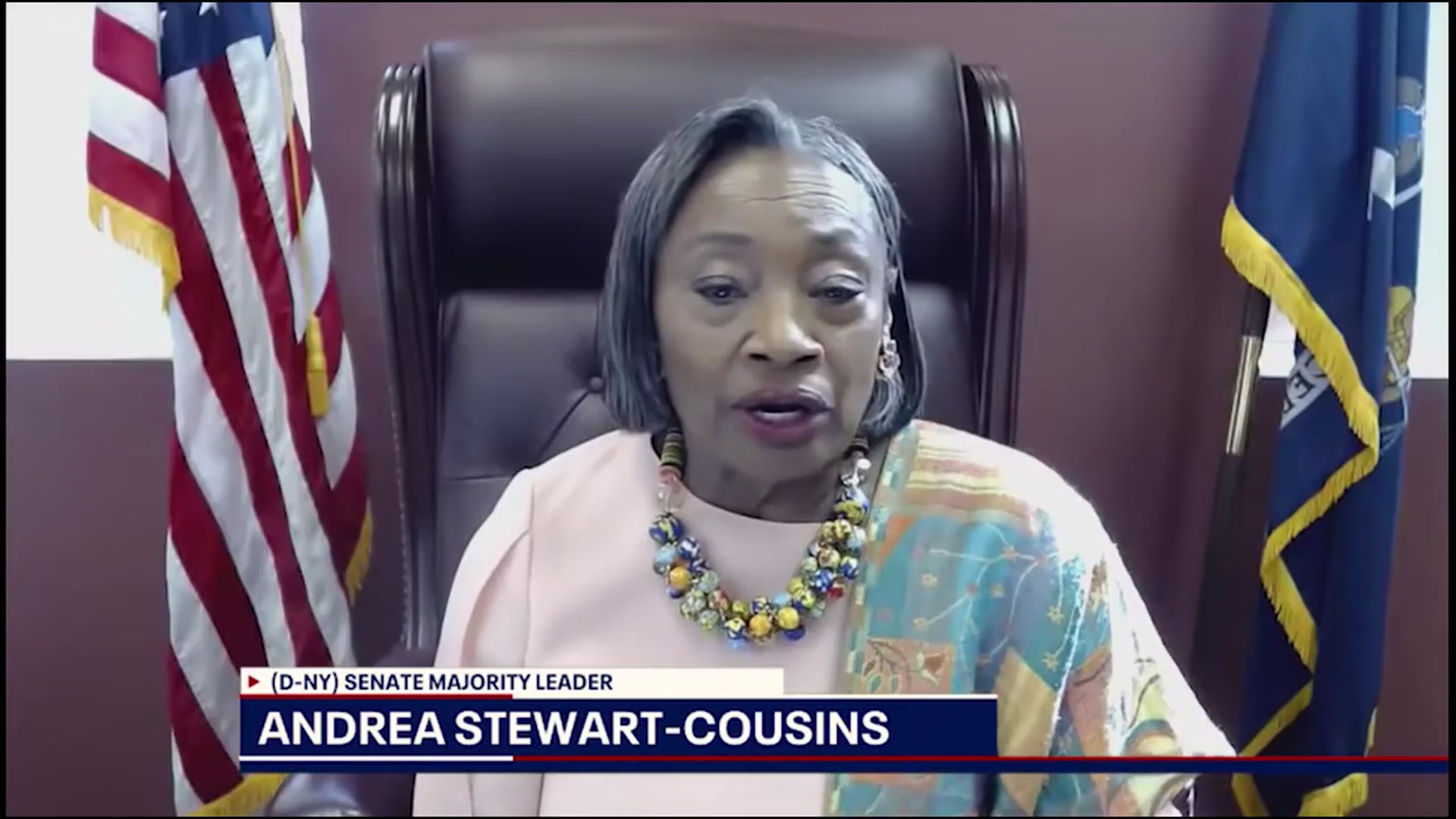 'Video thumbnail for Interview with NYS Senate Majority Leader | Politics Unusual'