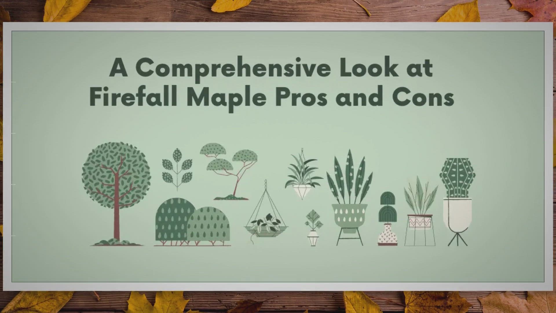 Video thumbnail for A Comprehensive Look At Firefall Maple Pros And Cons