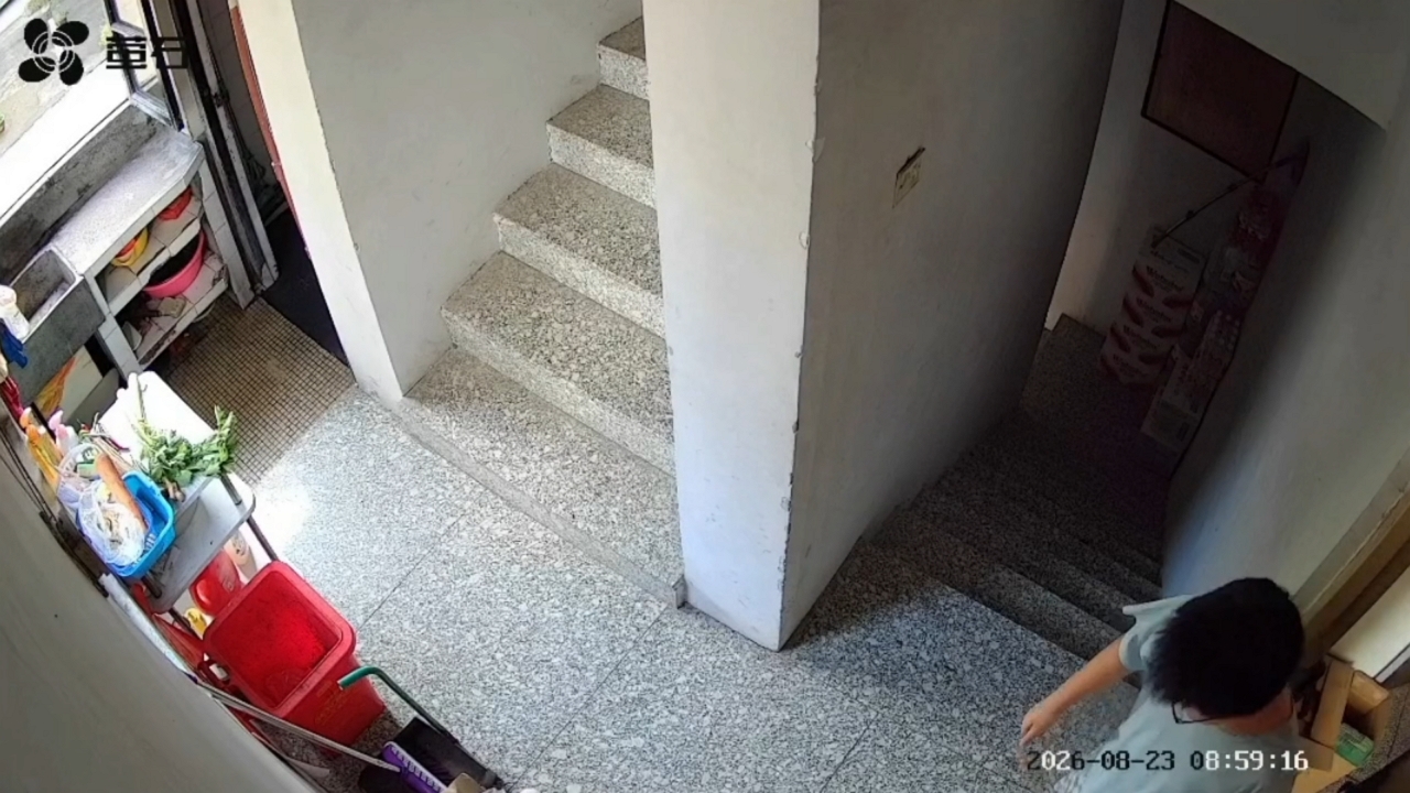 Video thumbnail for Boy Traps Mouse on Staircase with Basin and Dustpan in Zhejiang