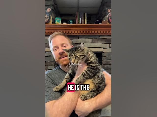 Video thumbnail for What a week, am I right? How about some nice #cats?