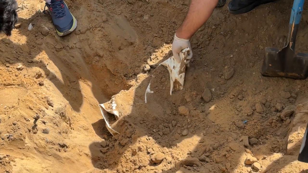 Video thumbnail for Gaza City Al-Shifa Volunteer Work Week 19.