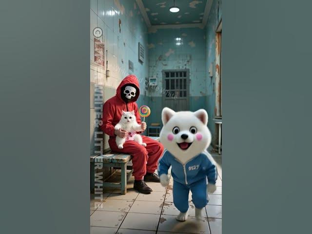 Video thumbnail for Why are there different rewards for vaccinating kittens and puppies?#funny #cute #puppy #kitty