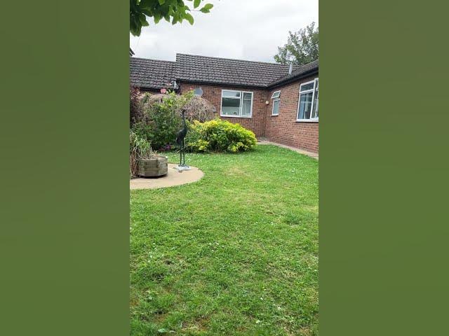 Video thumbnail for Higham