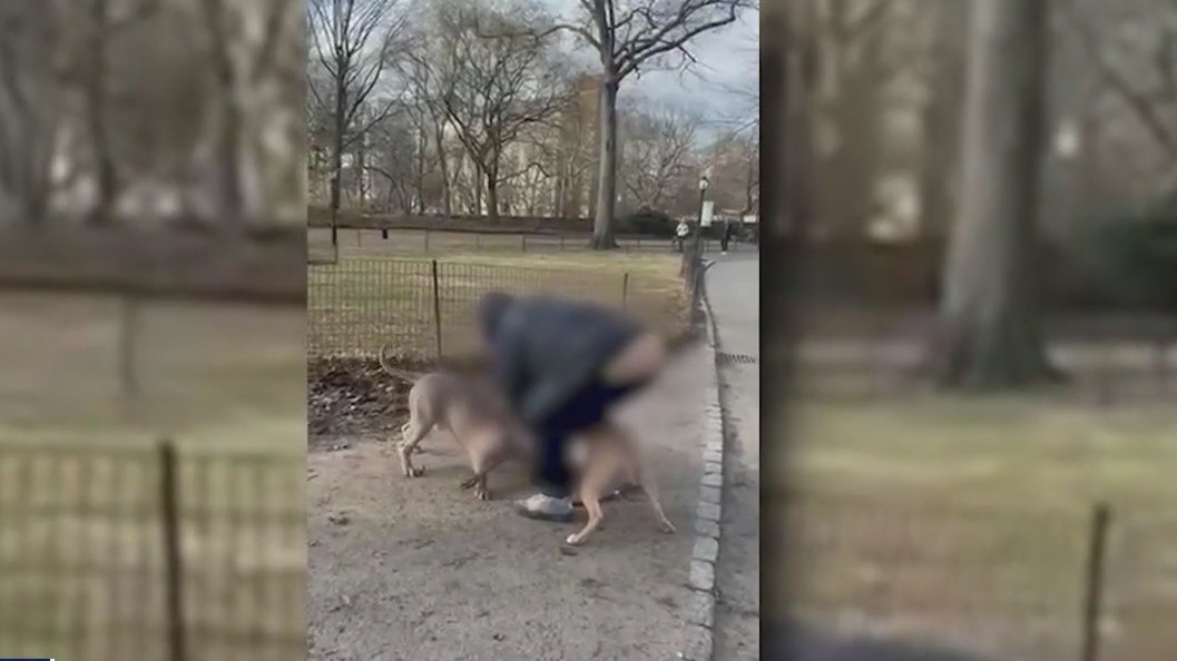 Video thumbnail for UWS residents demand action after pit bull attacks